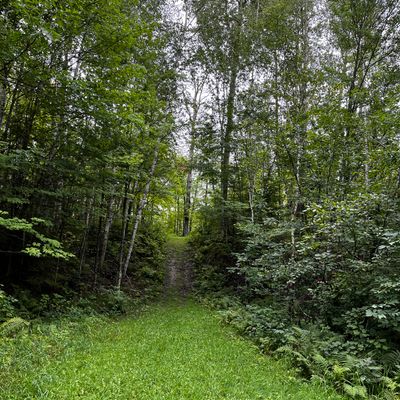 Nice place for a quiet walk while playing