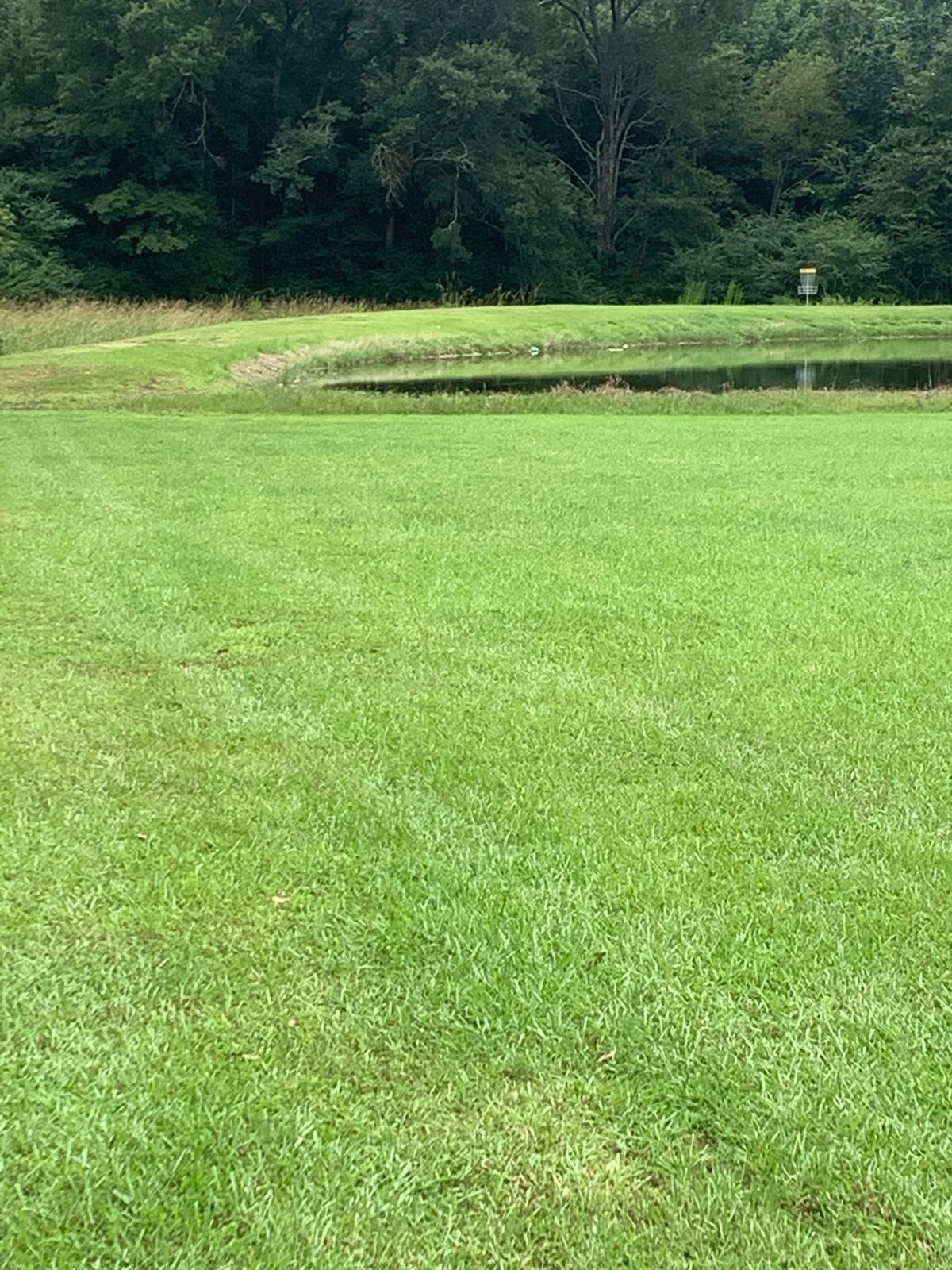 Hole 2