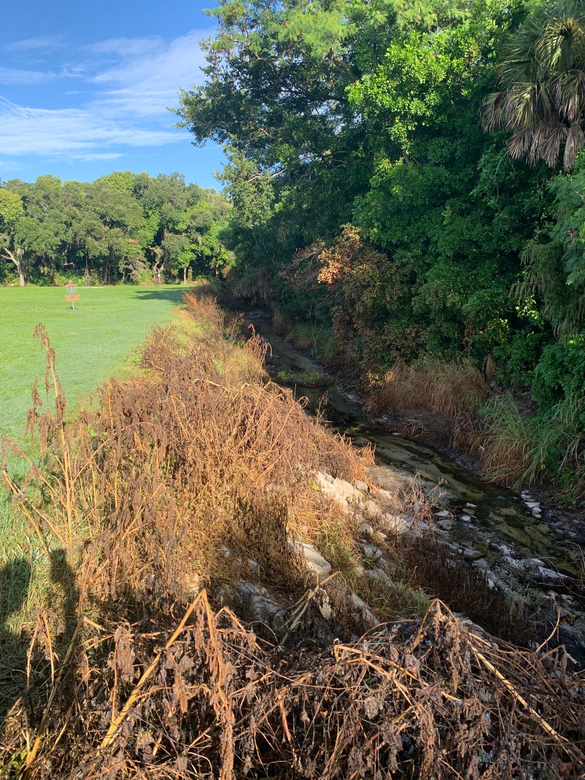 Hole 6