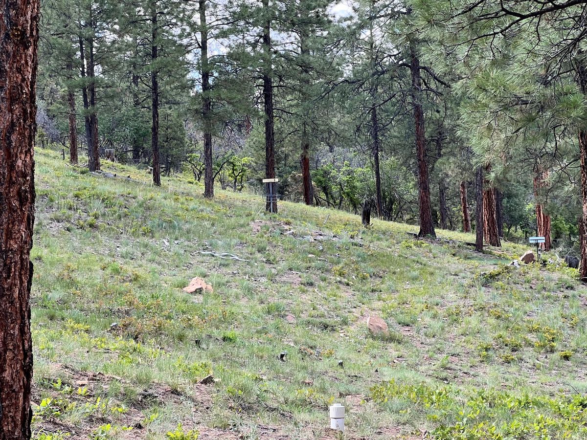 Hole 9