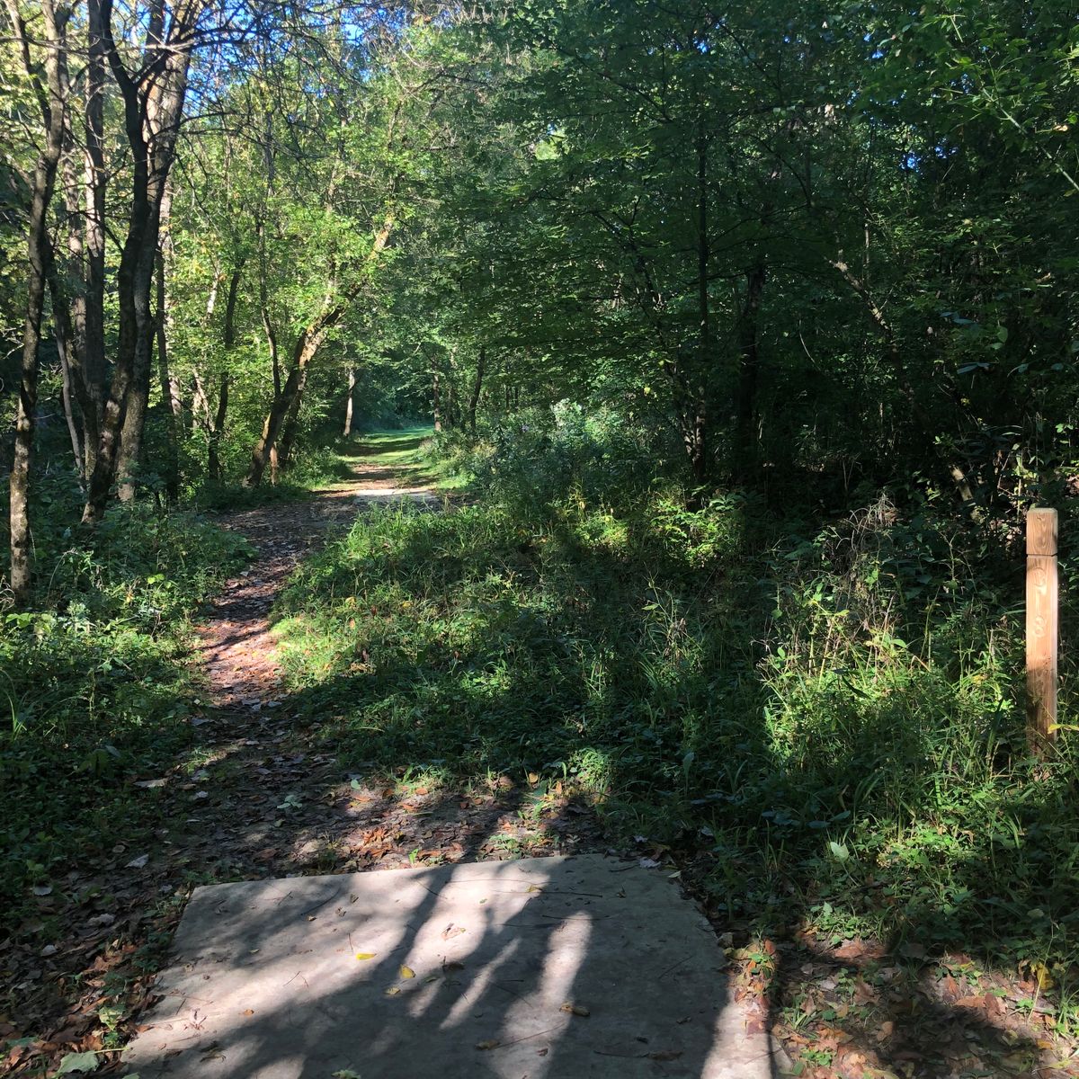 Hole 1 long tee