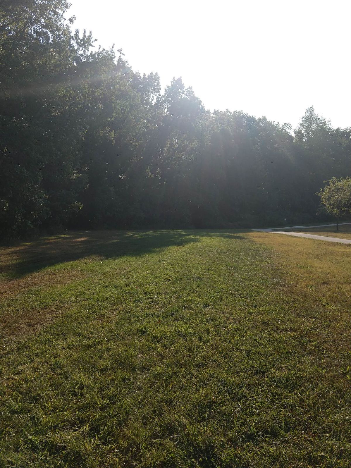 Hole 5