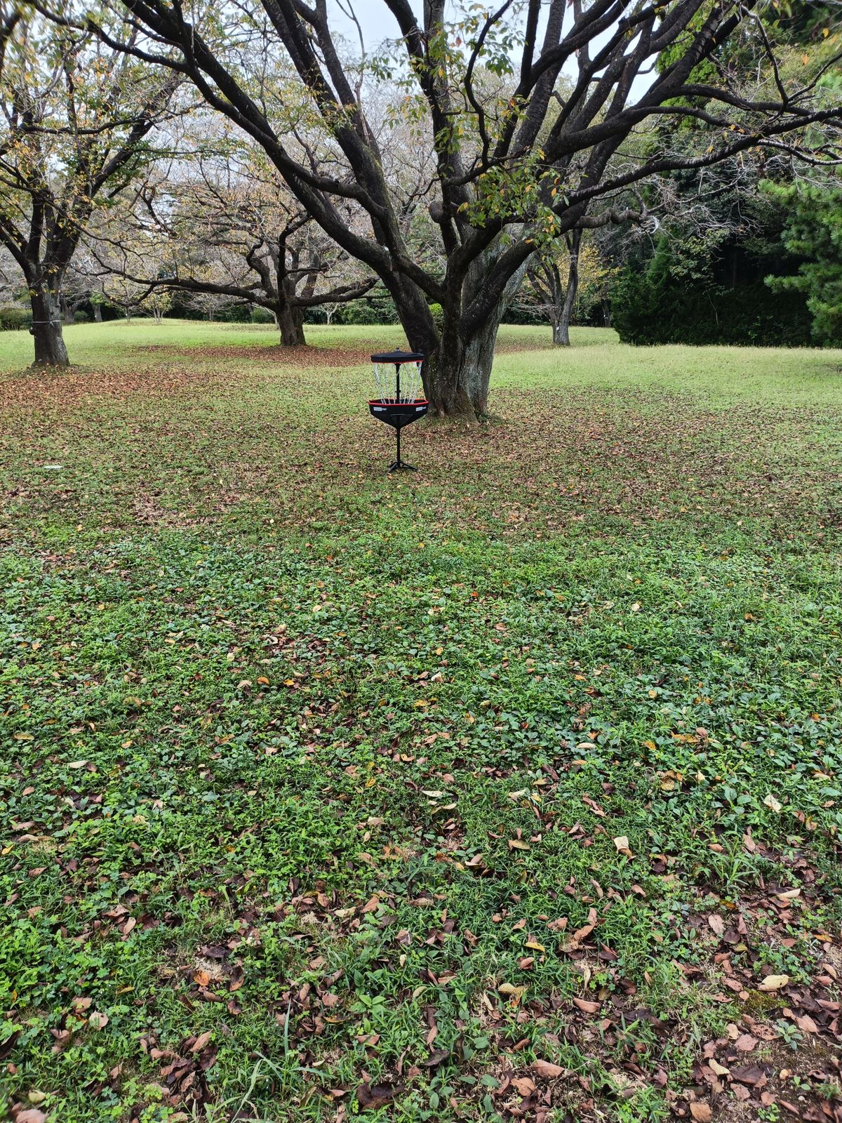 Old hole one, now Three
