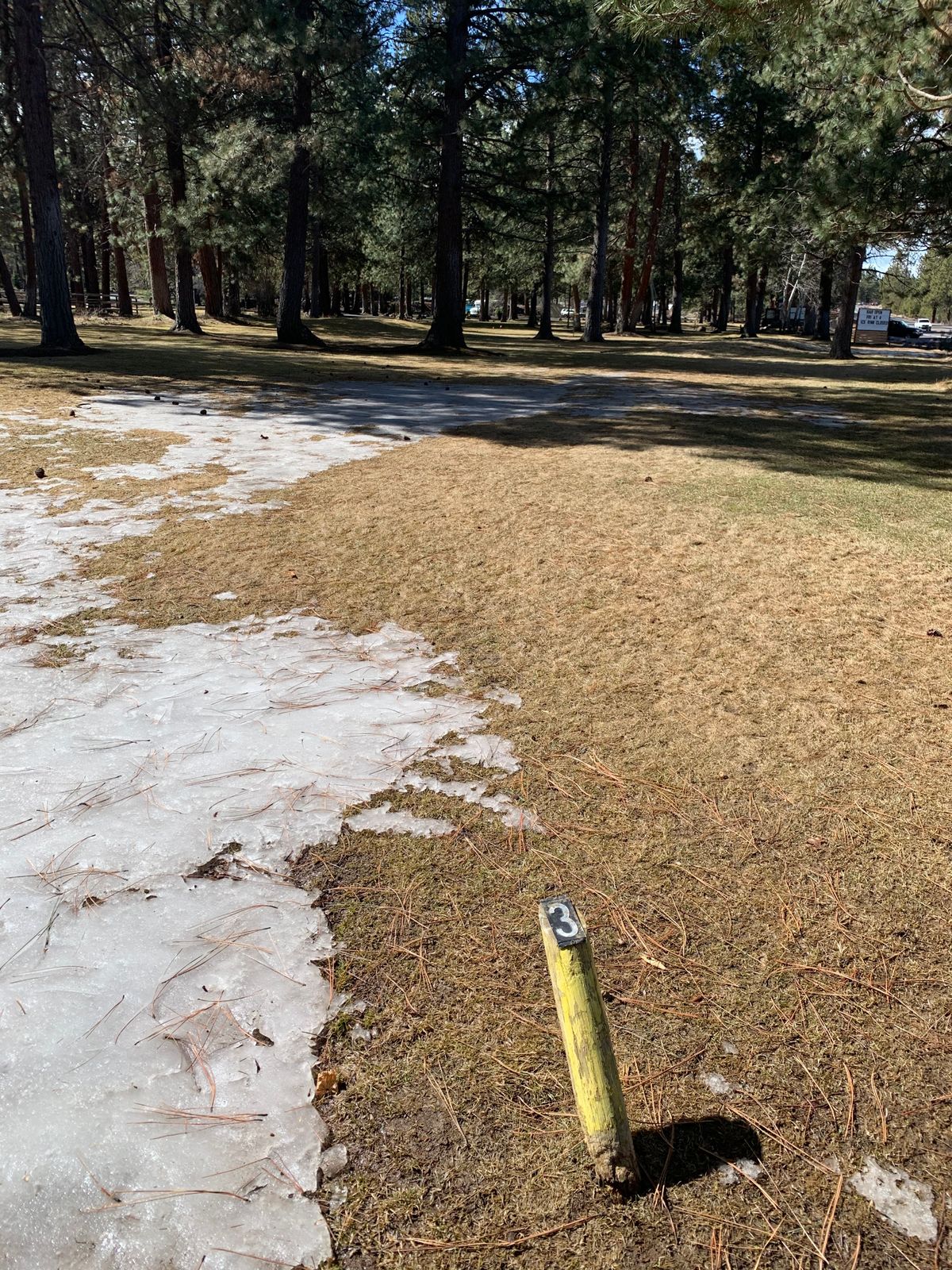 Tee for hole #3