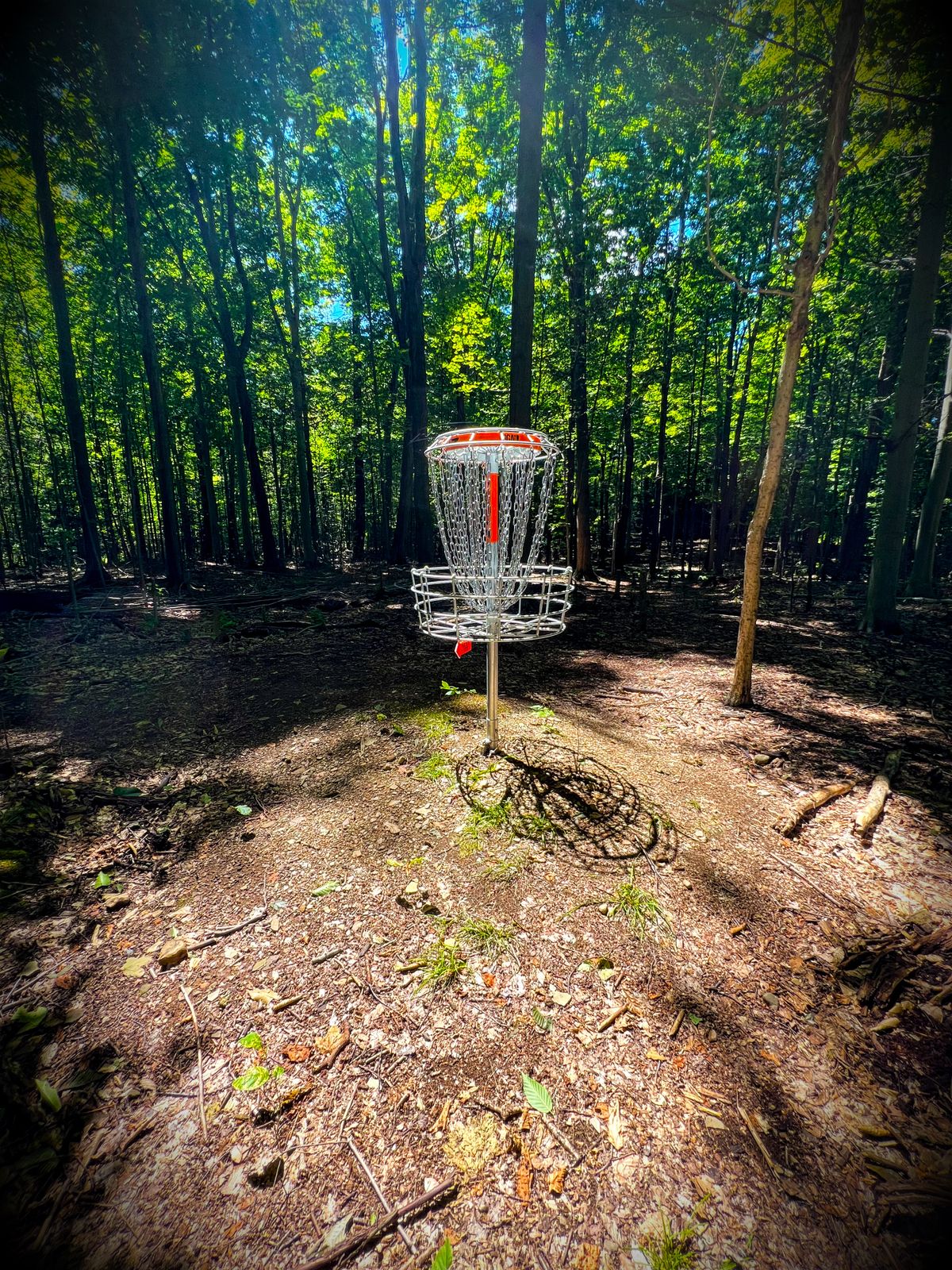Hole 15 B”s Knoll