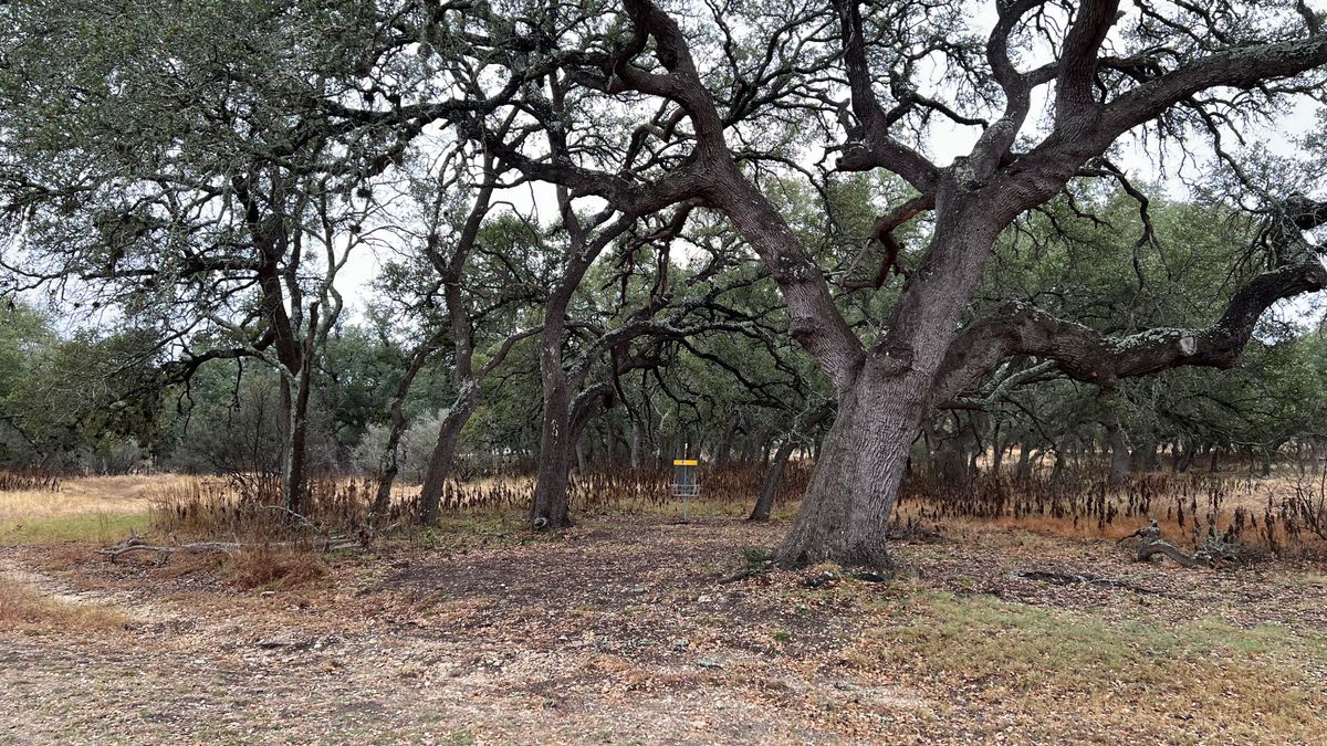 Hole 7