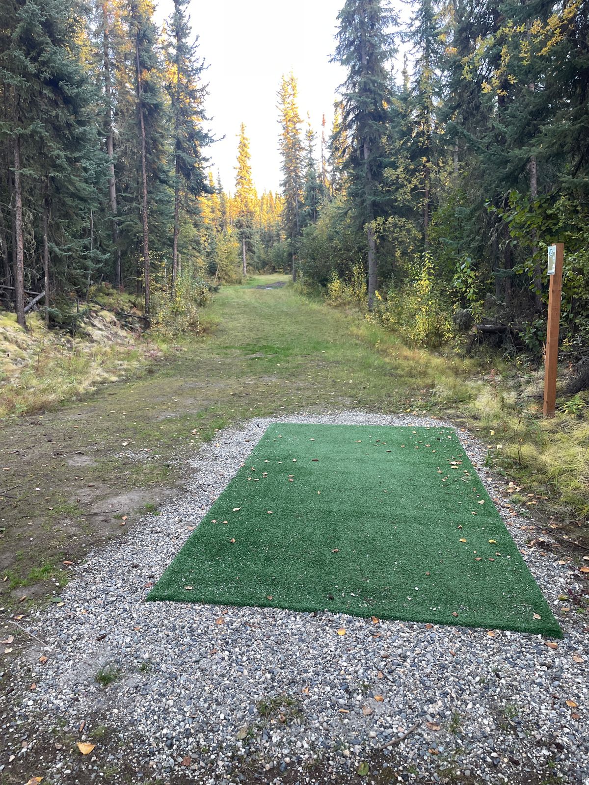 Hole 15 Tee Pad, throw to the corner for a chance at birdie