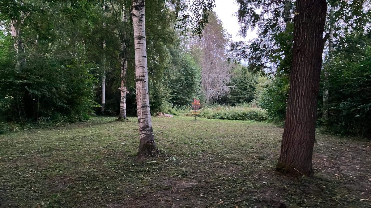 Hål 13, Green