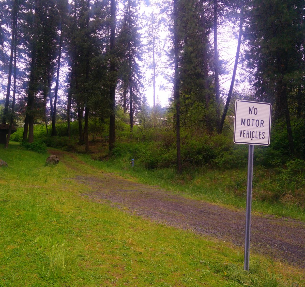 Hole 1