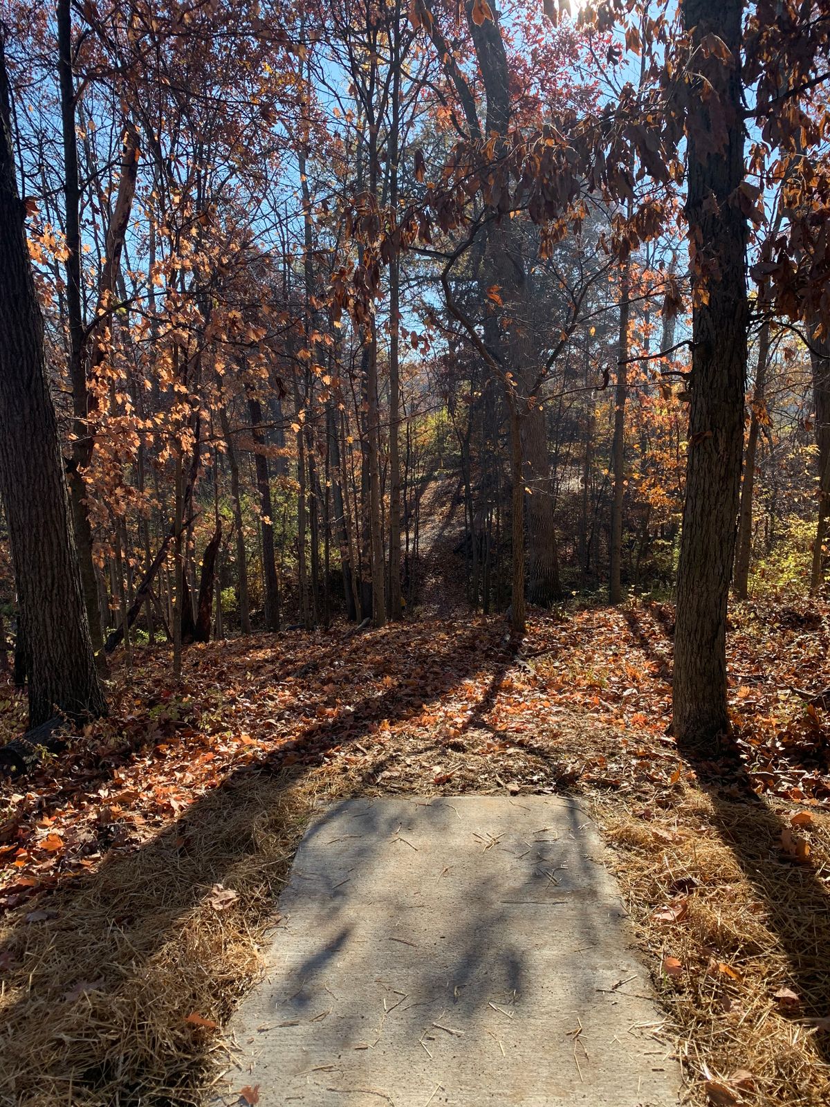 Hole 10 - Pro Tee