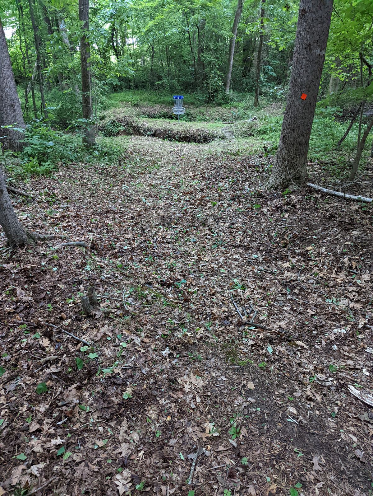 Hole 18