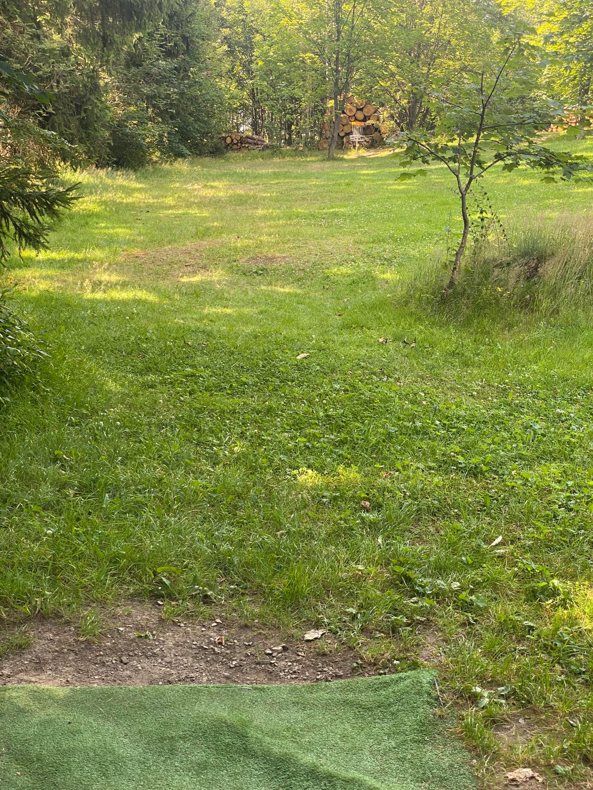 Bahn 6