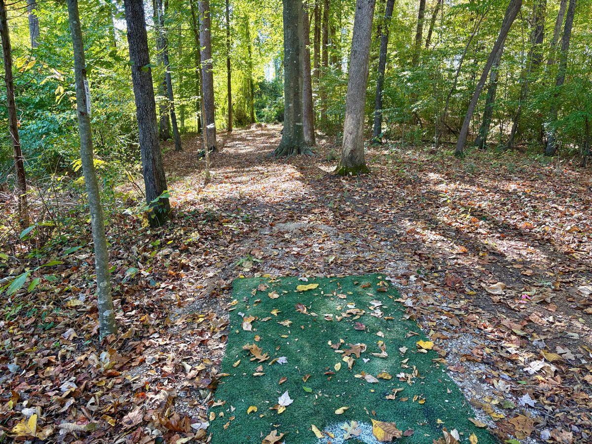 Hole 8 tee