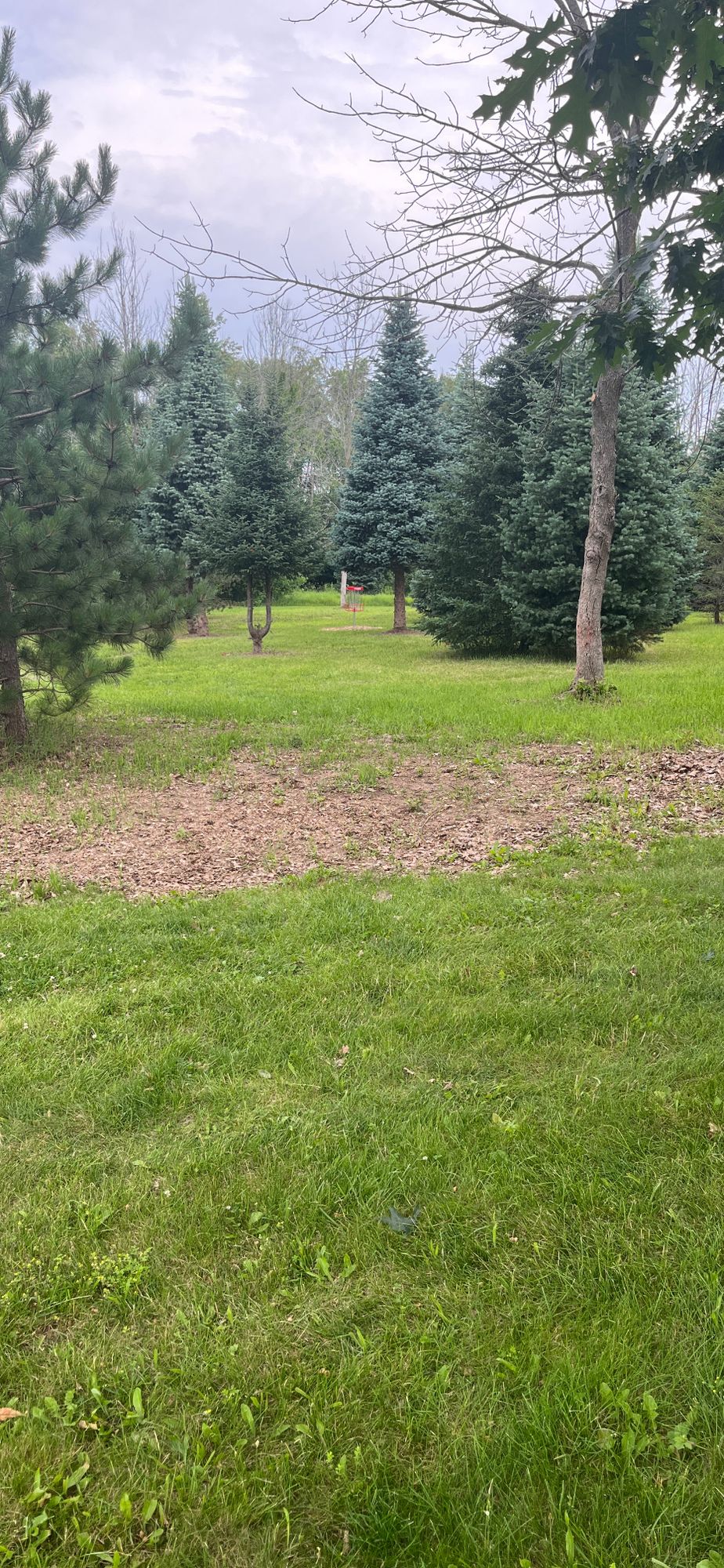 Hole #1 Red Tee