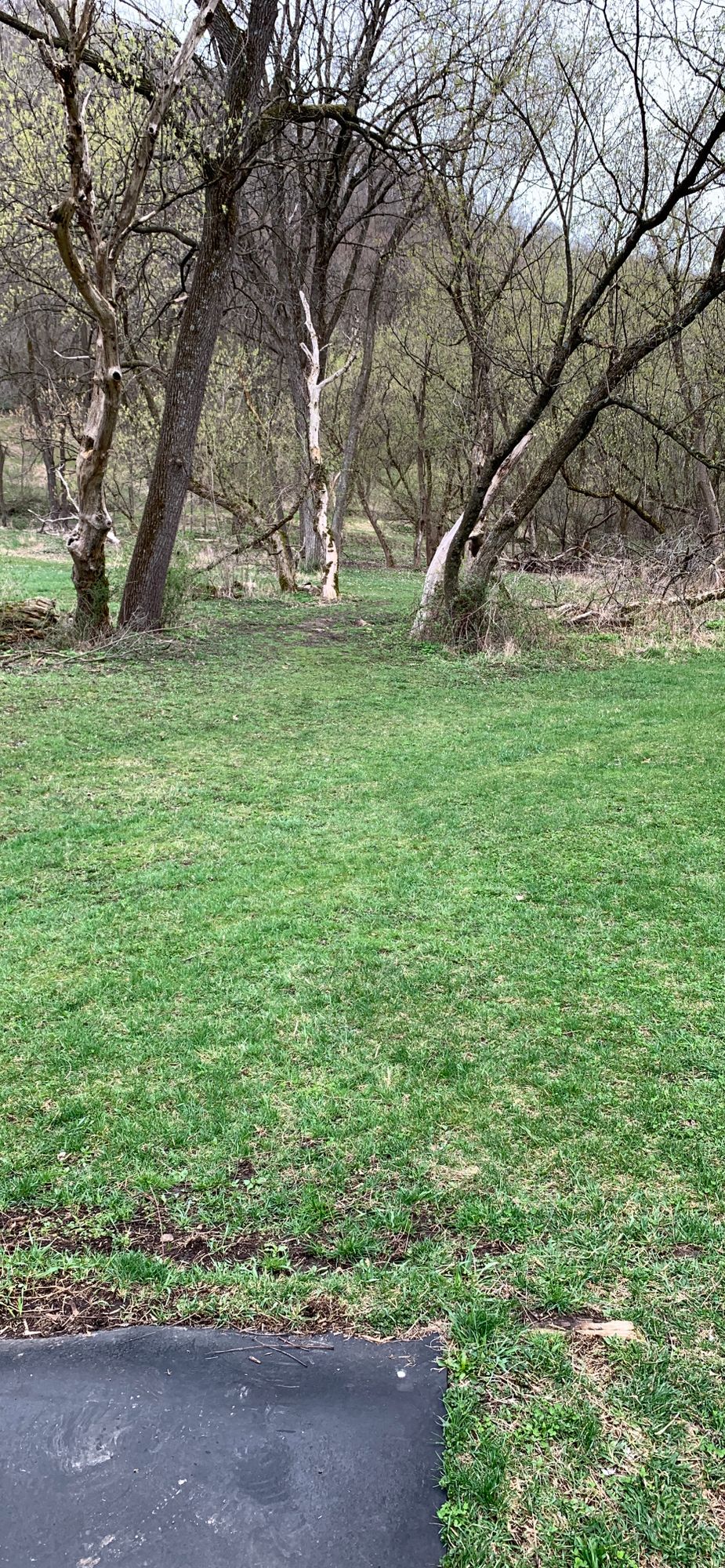 Hole 8 tee