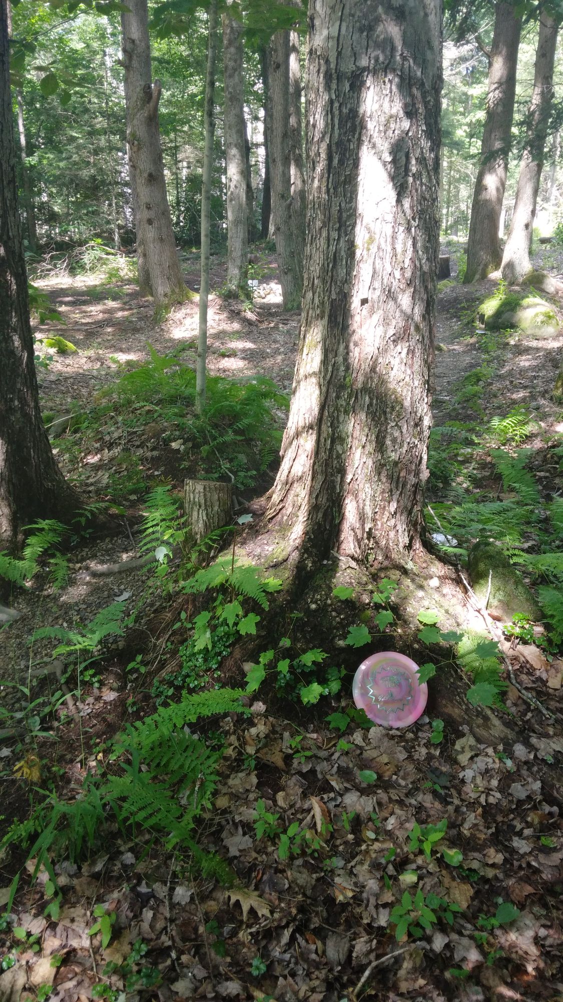Give-away disc with hole 4 white teepad in the background.