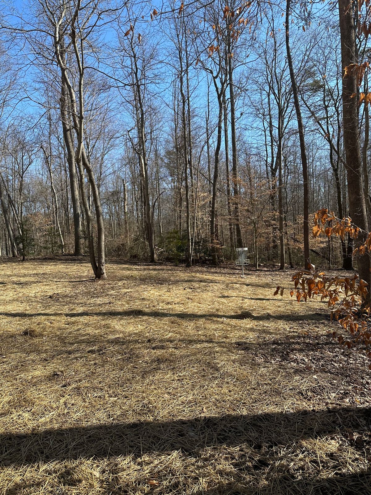 Hole 13