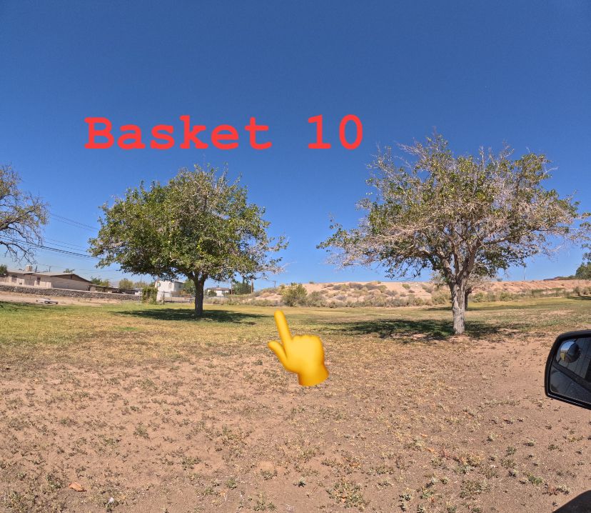Basket 10