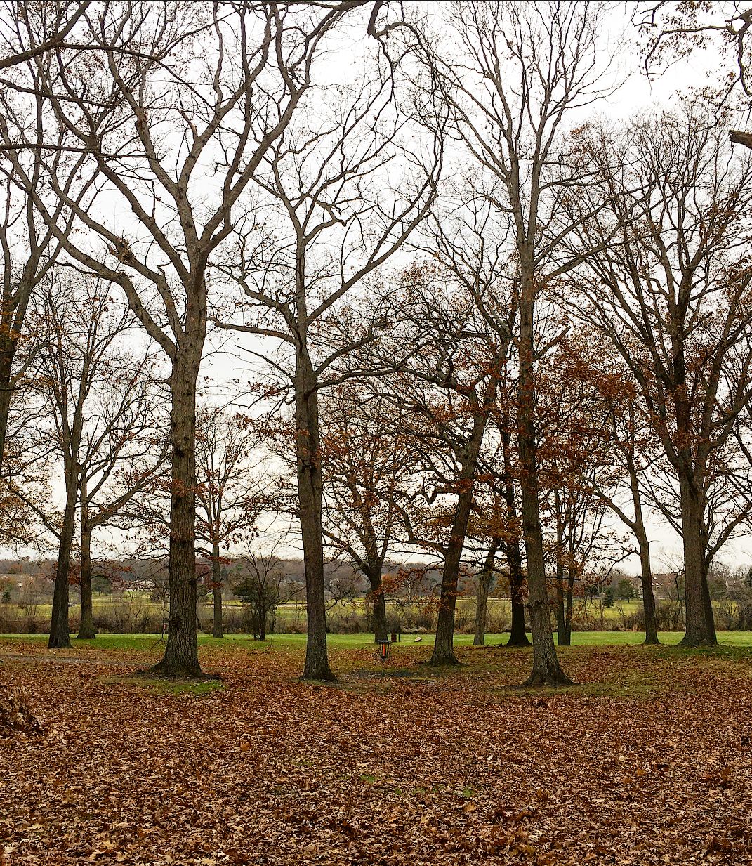 View partially down the fairway on hole 7.