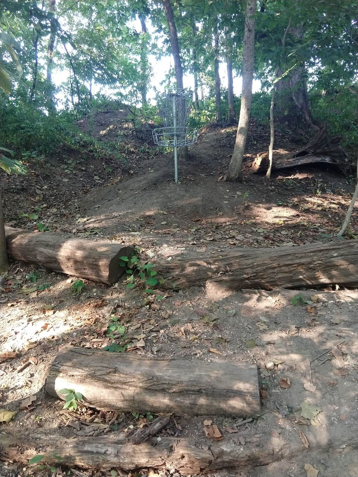 Hole 8