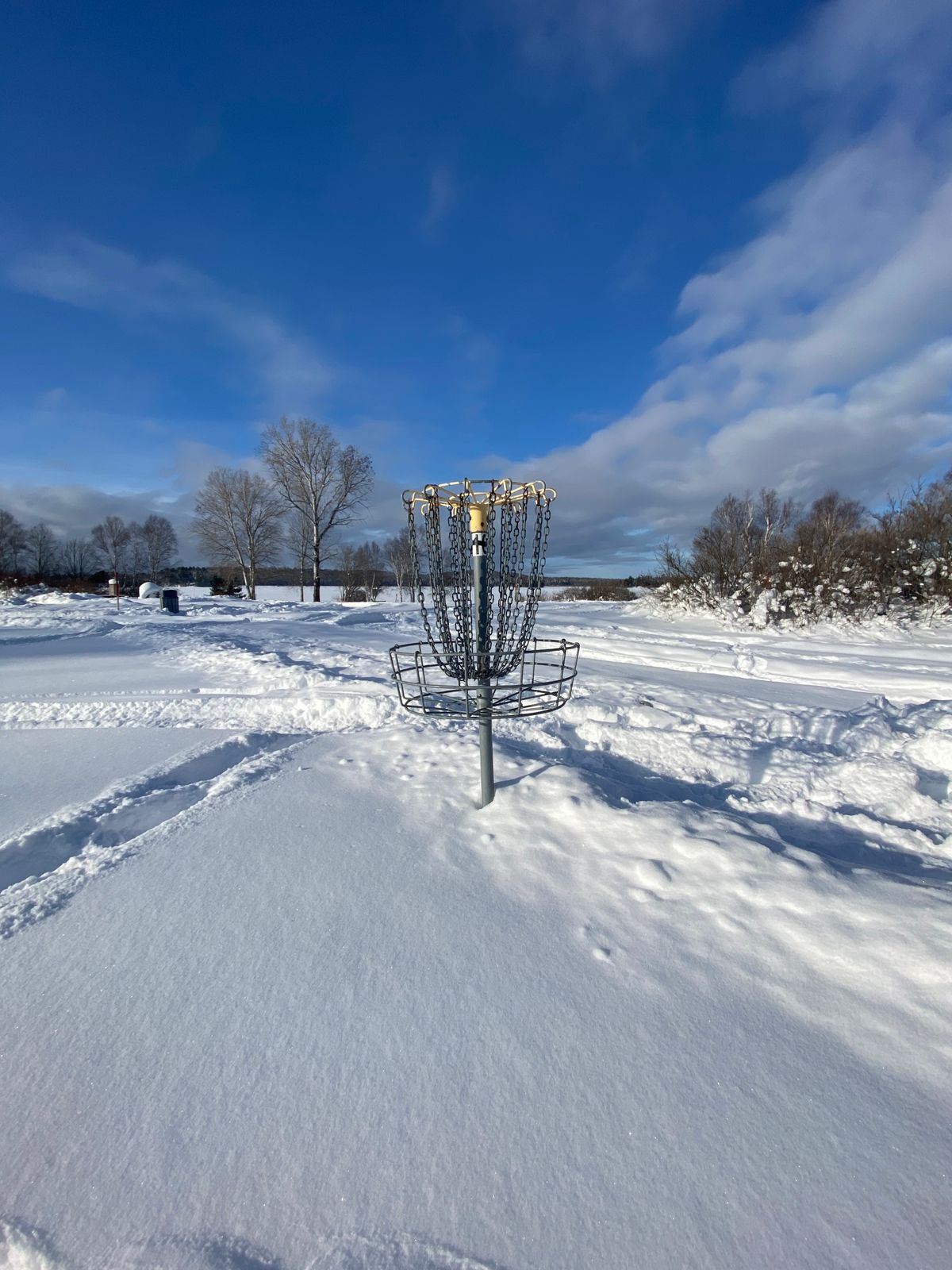 Winter wonderland