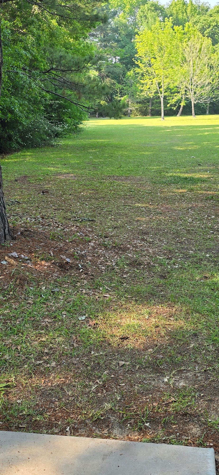 Hole 15