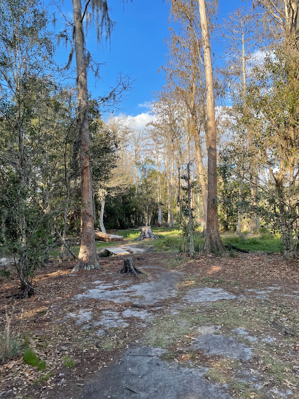 Hole 9