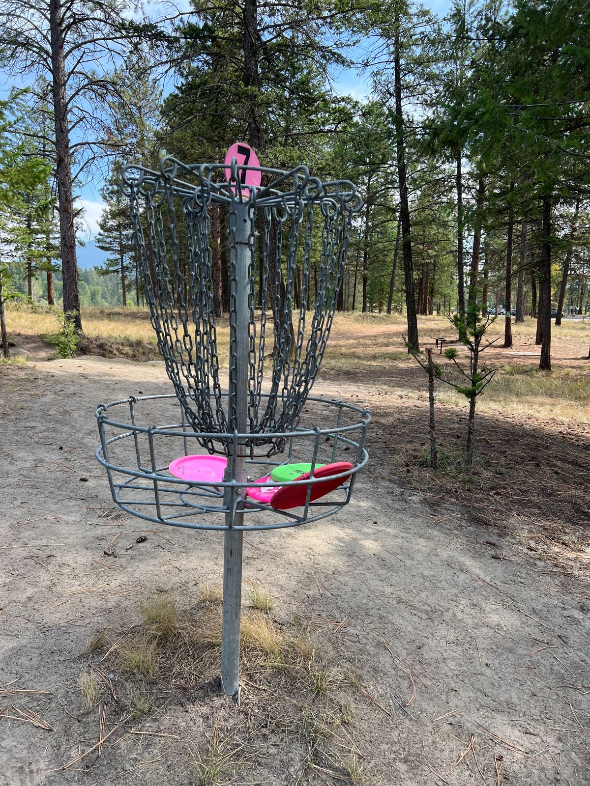 Hole #7. Great course with a good blend of technical challenges and forgiving distances.