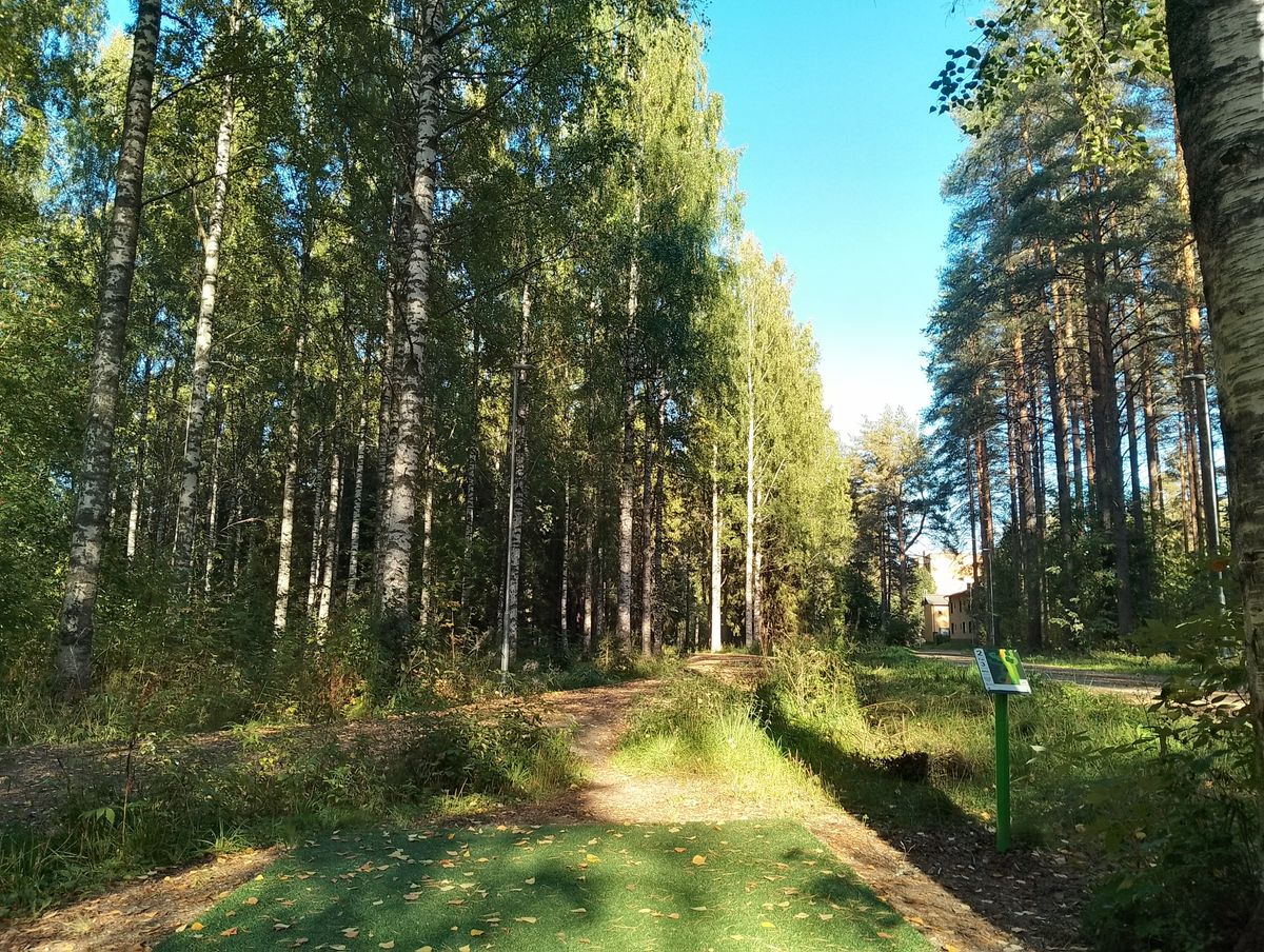 Hole #2.