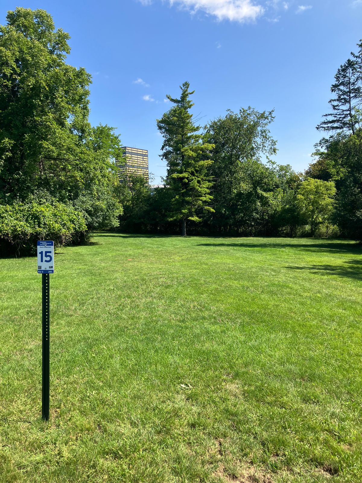 Hole 15