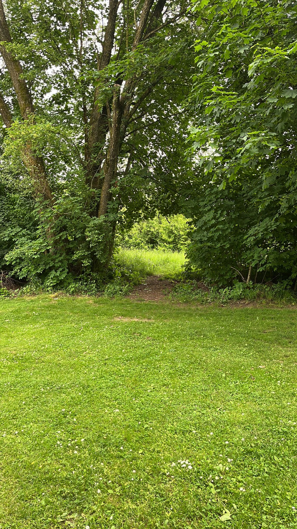 Gap @ hole 3 in summertime