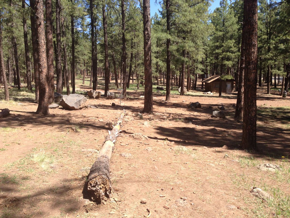 Hole 5
