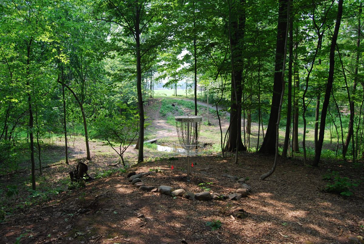 Hole 1 looking back toward fairway