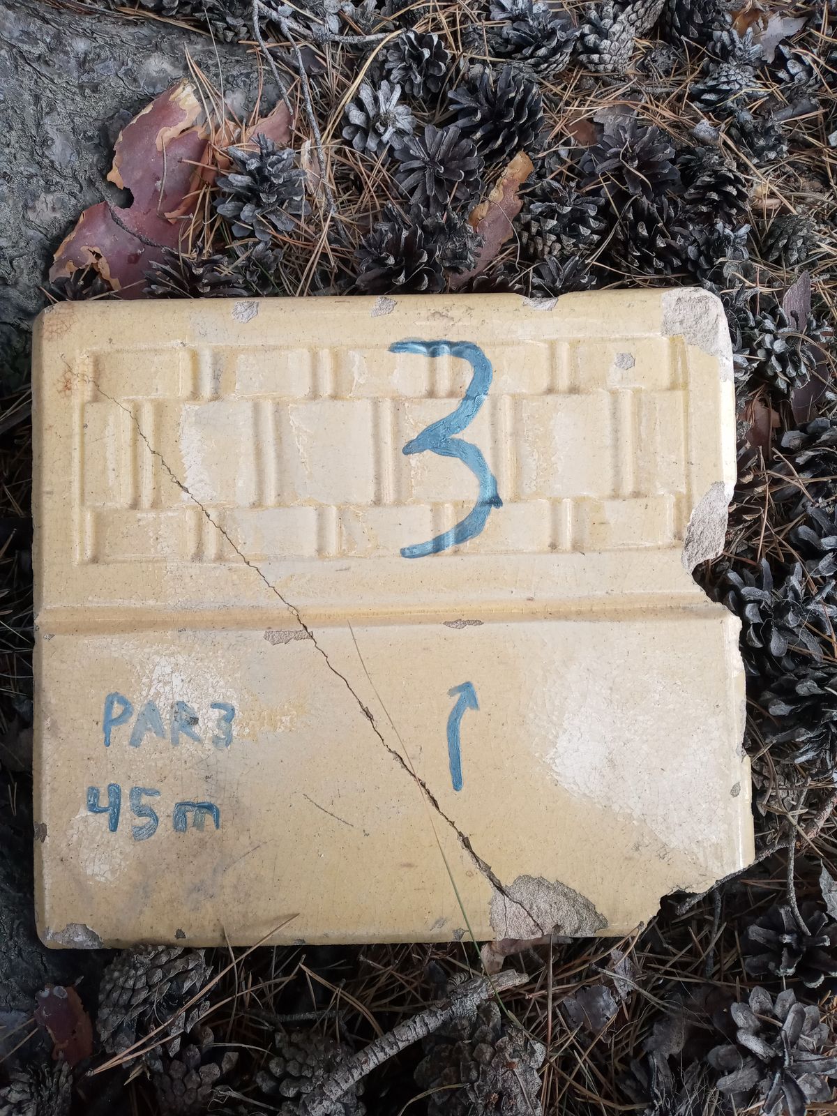 Hole 3 Tee Sign