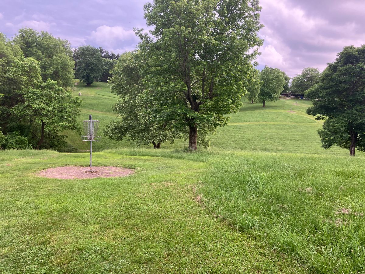 Rolling landscape, mature trees, mowed fairways