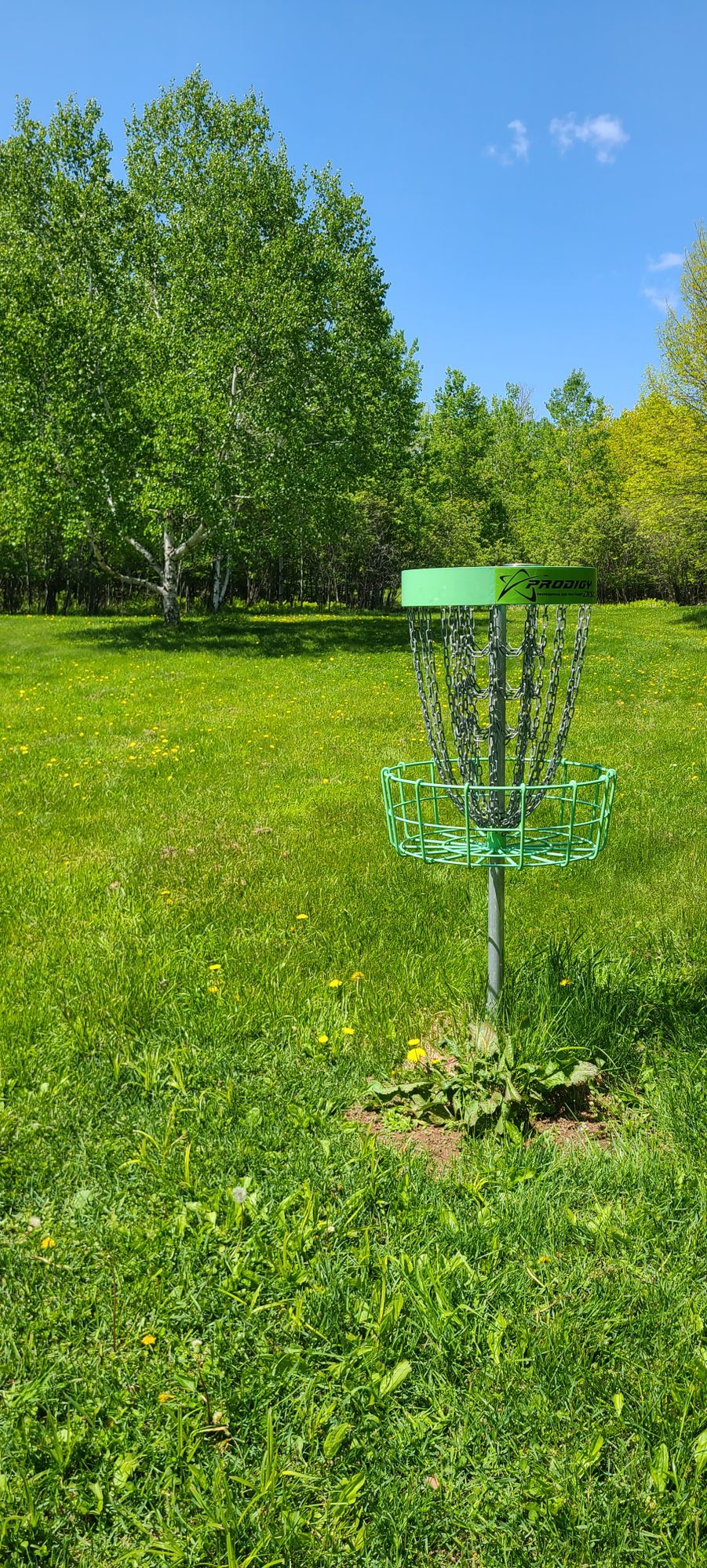 Hole 3 basket