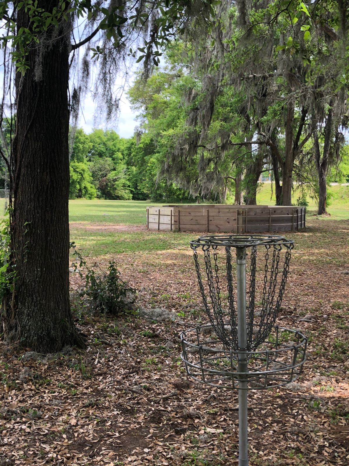 Hole 4, basket to tee