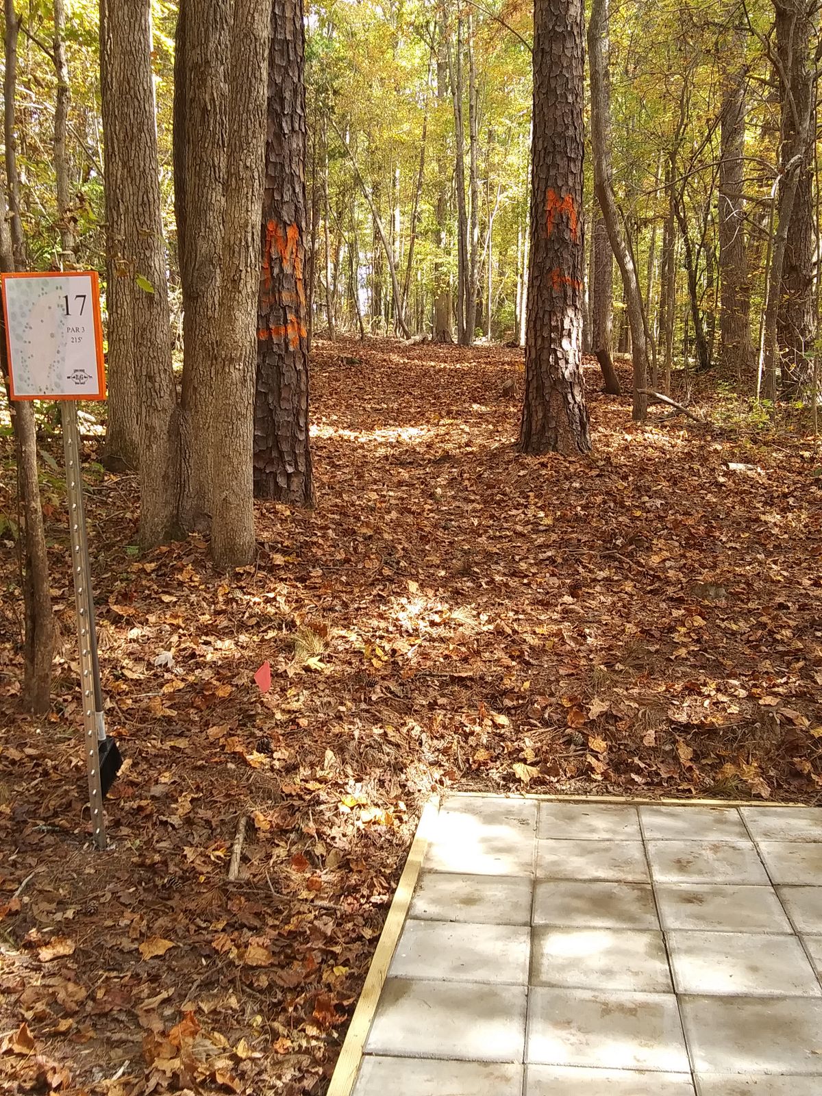 Hole 17 tee and mandos