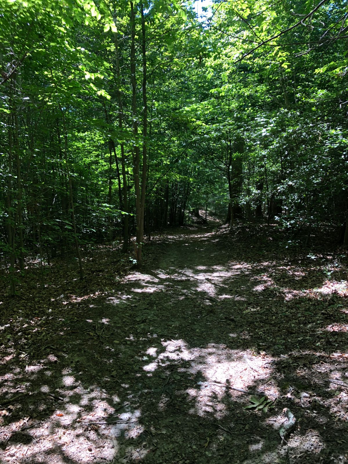 4th tee, unmarked.