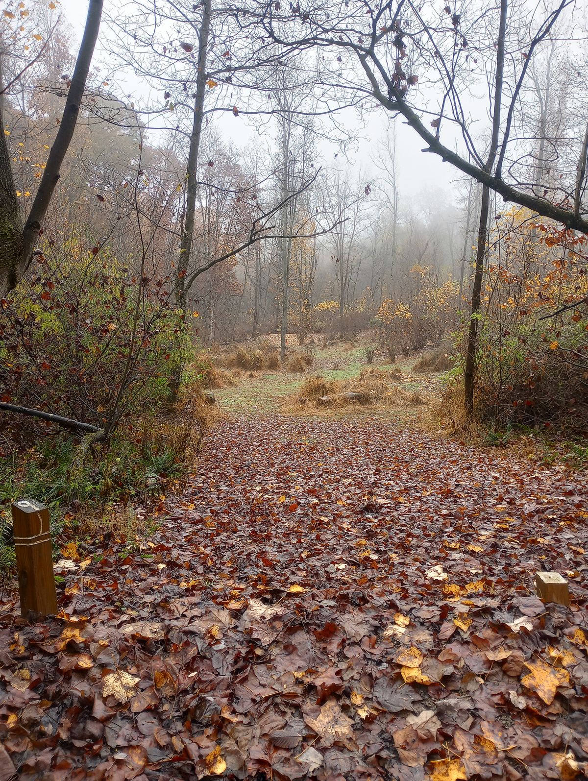 Hole 9: fall