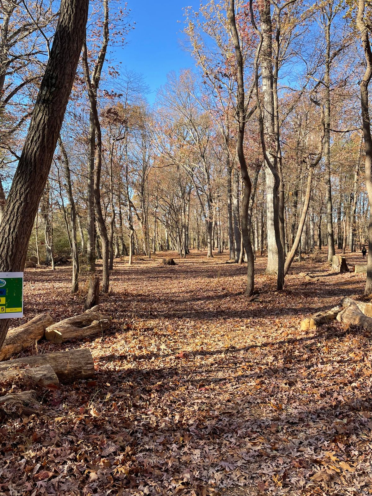 Mercer County West Hole 9