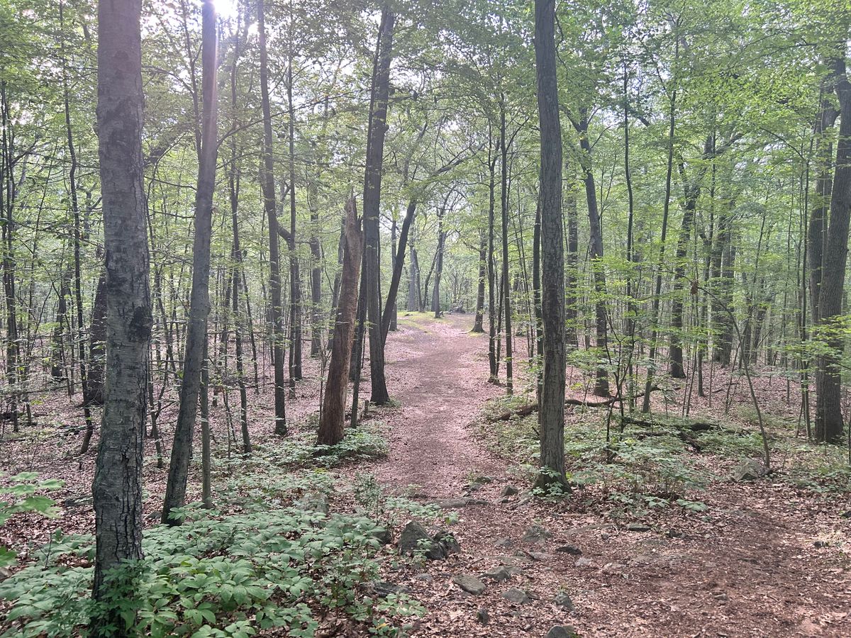 Hole 3