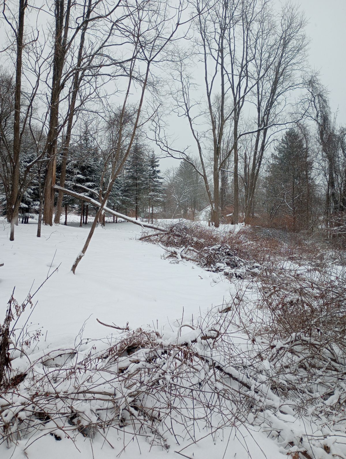 Tee Winter
