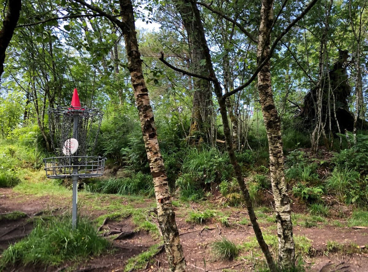 Basket Hole 8