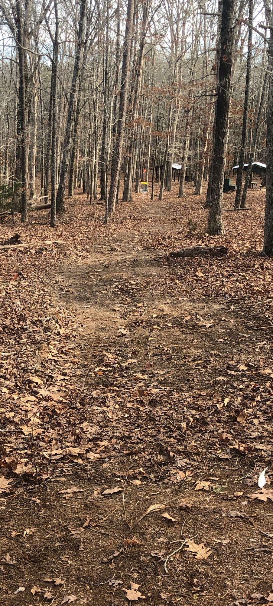 Hole 2 Tee