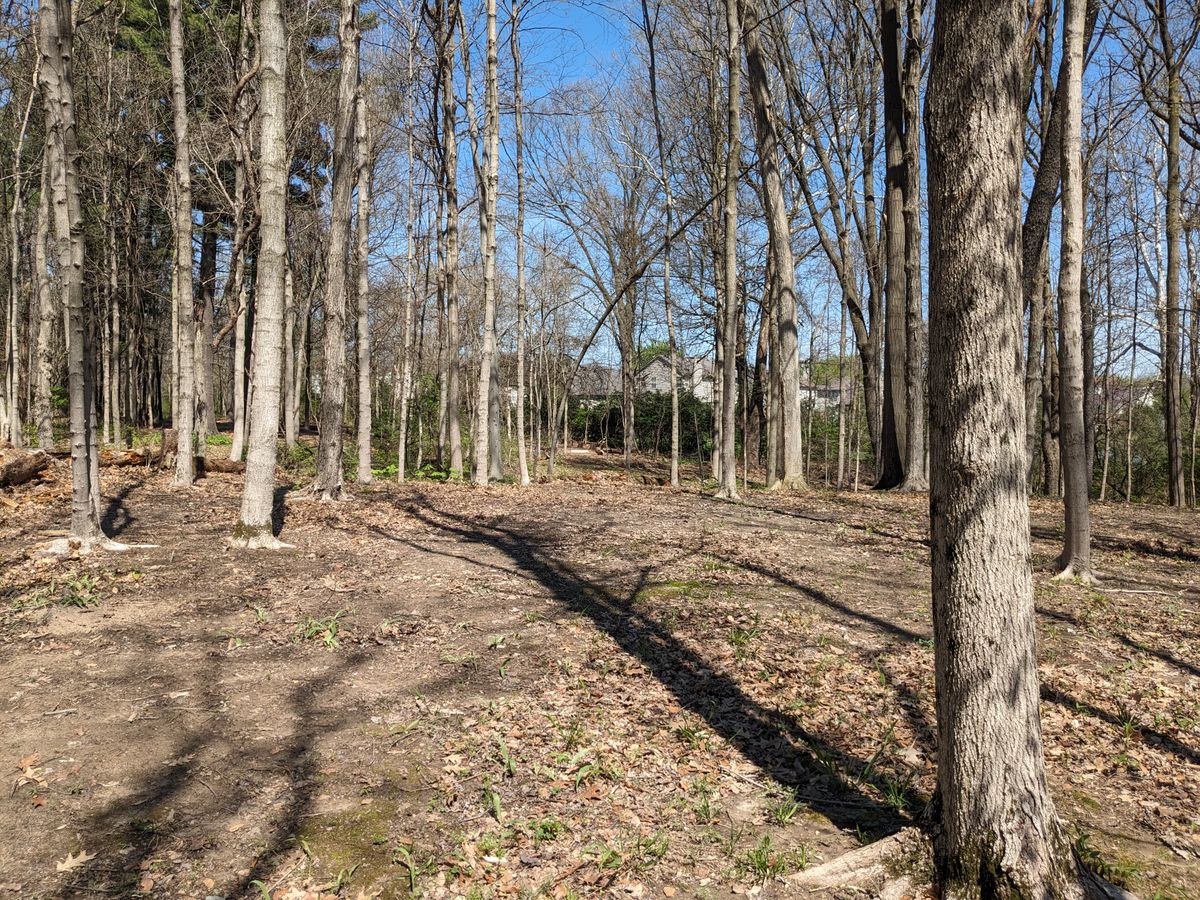#6 from Fairway looking back to Tee Pad