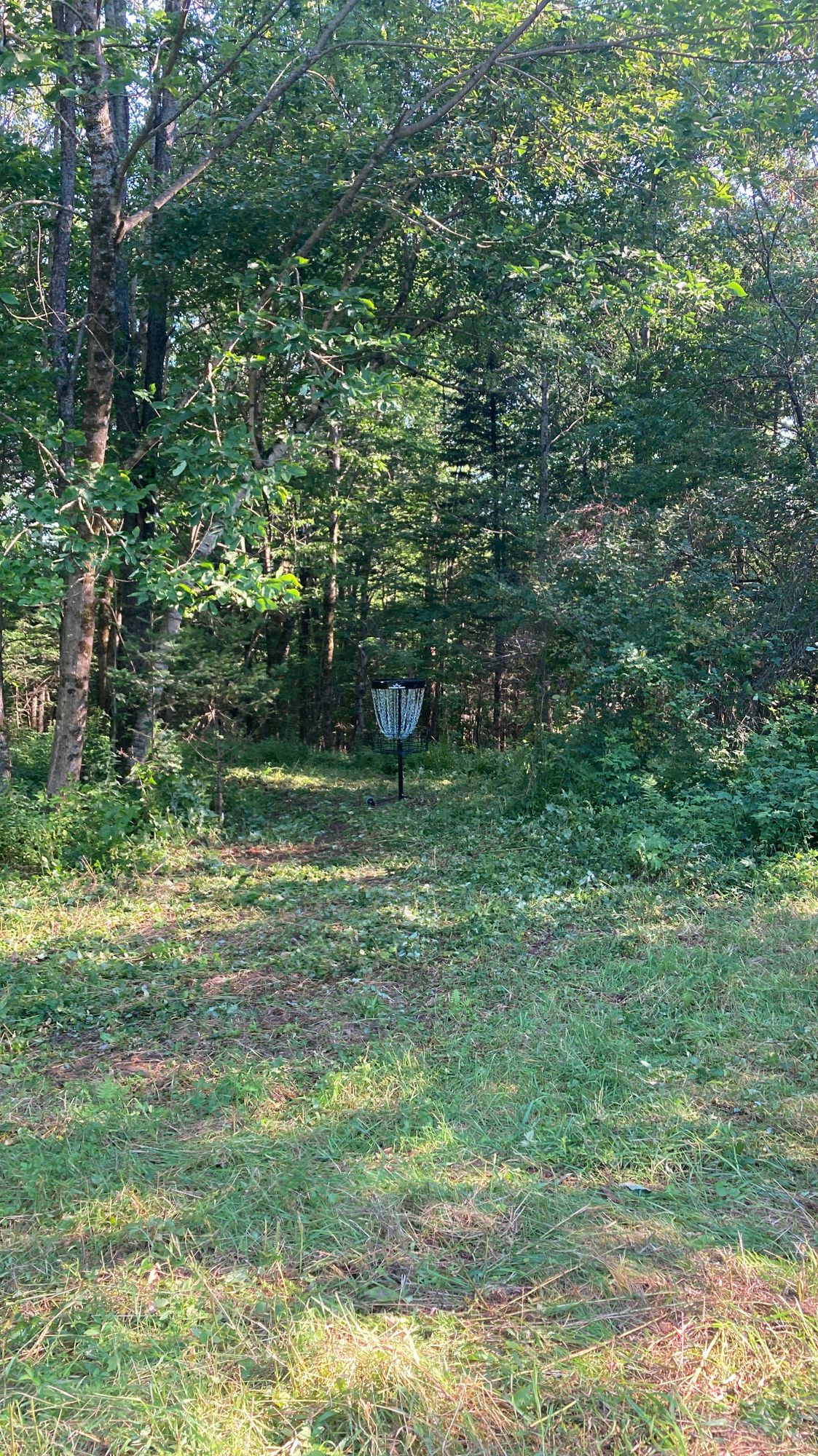 Hole 9