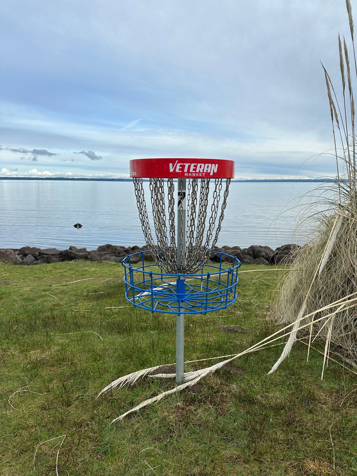 Hole 7 basket on 2/8/24