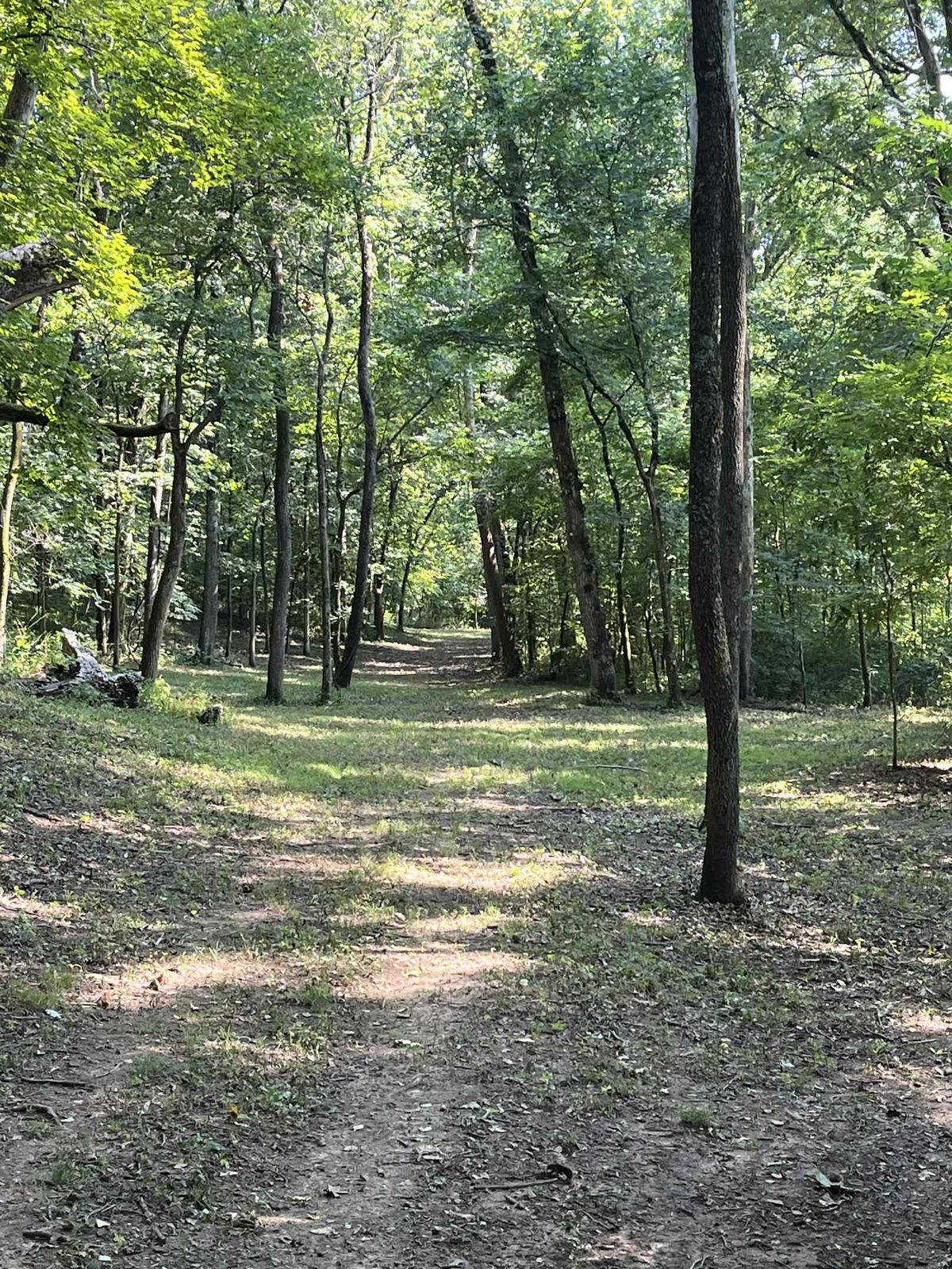 Hole 6