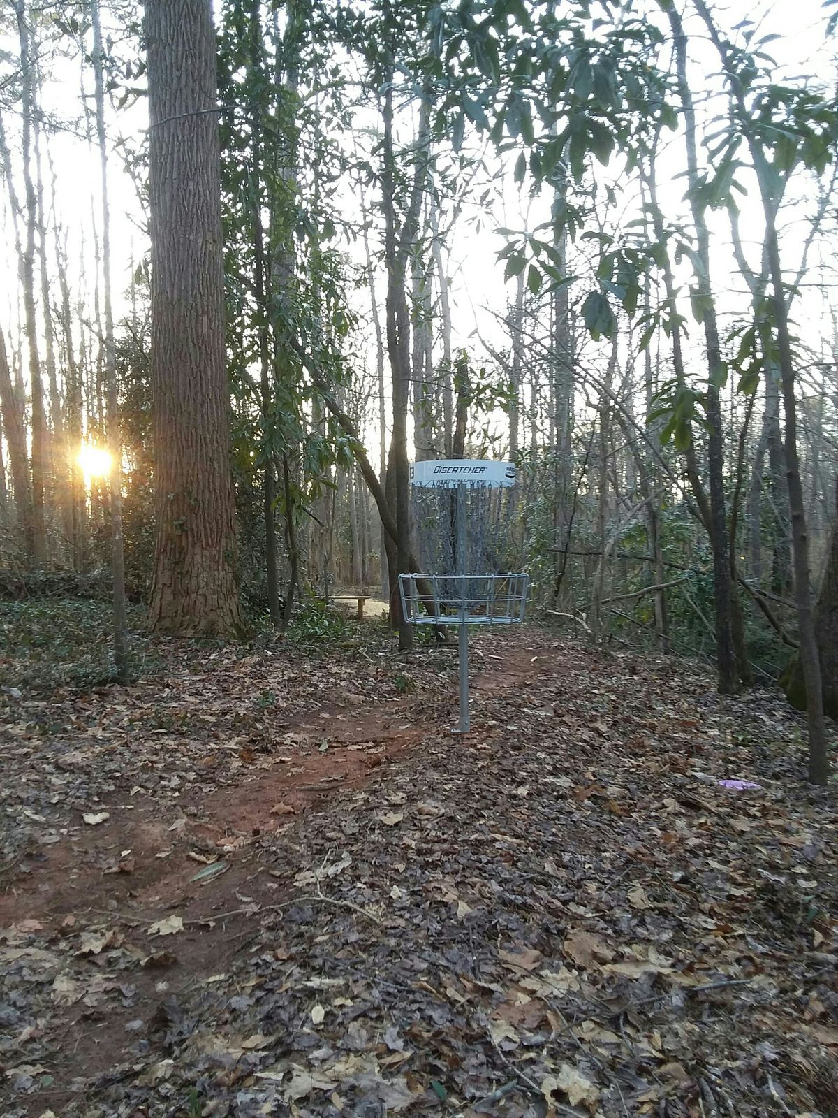 Hole 13 basket